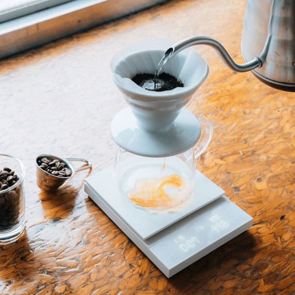 Hario Polaris kaffevåg – vit