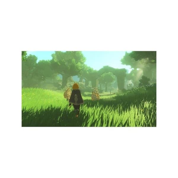 Hyrule Warriors: Imprängningens Ålder SWITCH 2