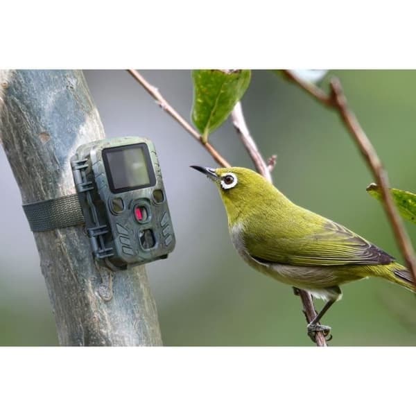 Technaxx Mini Nature Camera - Wild Cam TX-117