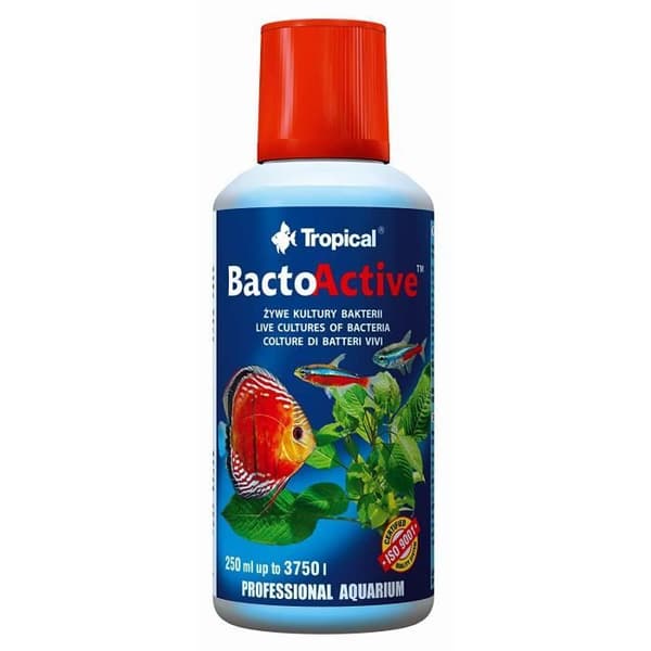 TROPICAL Bacto Active Maintenance for Aquarium 250 ML - TR34305