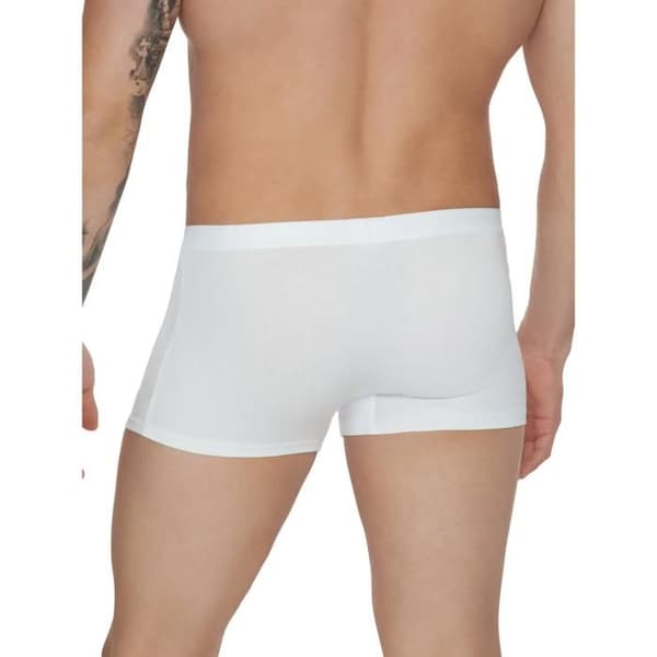 Boxer Lisca Hermes (x2)