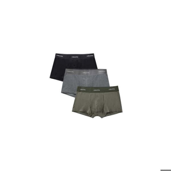Boxer Krakatau (x3)