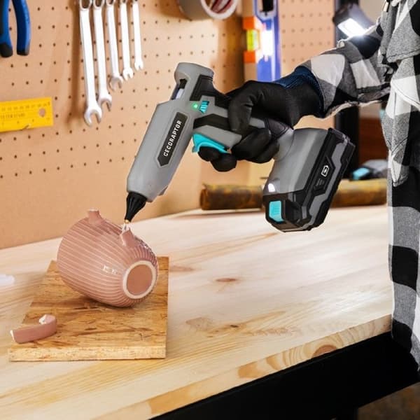 Cecotec Limmpistol CecoRaptor Perfect Fix 2020 Advance