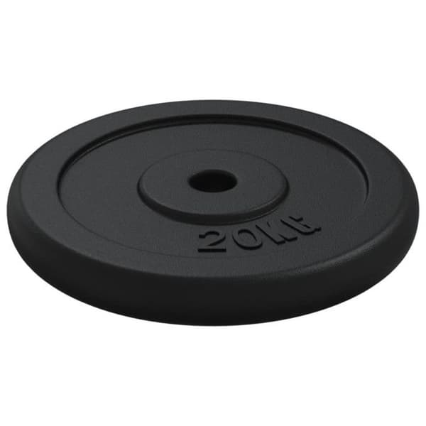 93643 vidaXL Viktplatta 20 kg Gjutjärn