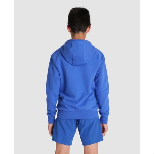 Barn hoodie Arena Team Panel - royal