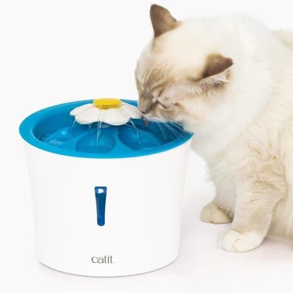 Vattenskål för katt med blomma - CATIT - Blomma - 3L - Med LED - Blå