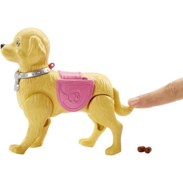 BARBIE - Hundpromenad