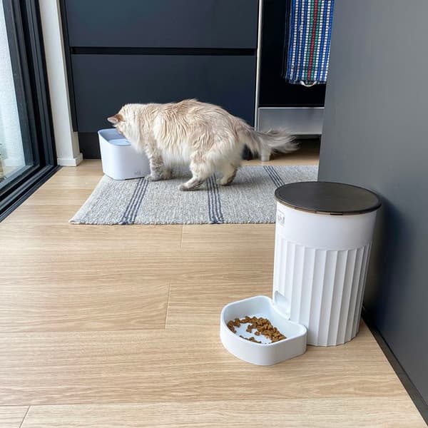 Ebi Manoa vattenfontän
