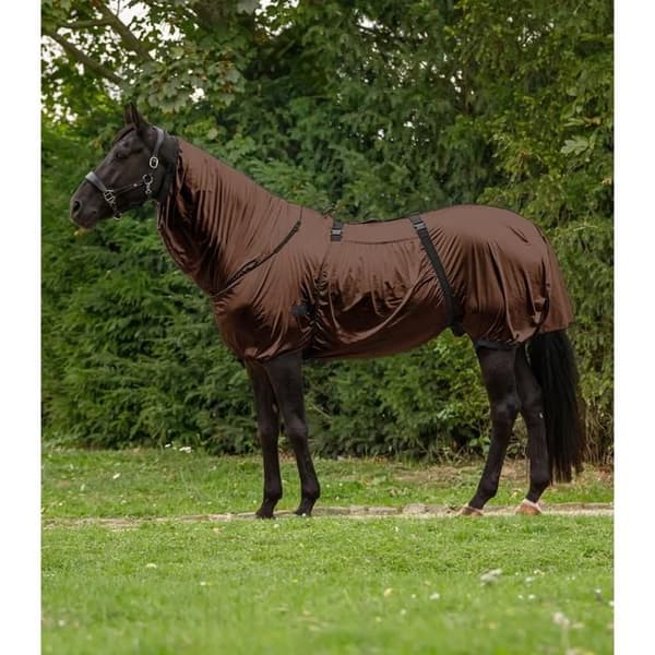 Insektskydd/ sommar för häst Waldhausen Basic - mocca - Brun - 145 cm