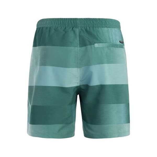 Protest Lomond badshorts