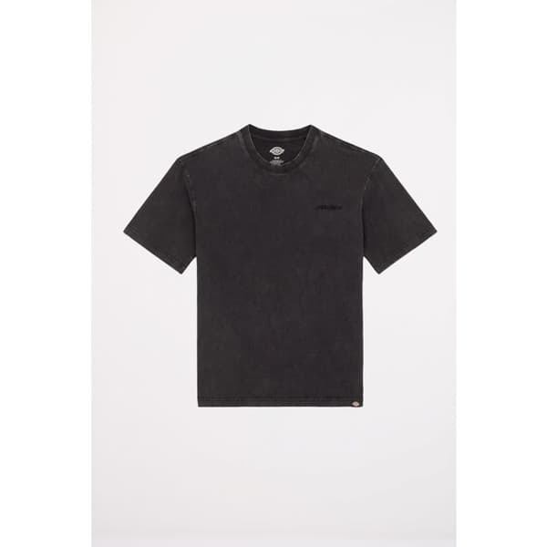 T-Shirt Dickies Plentywood Ss