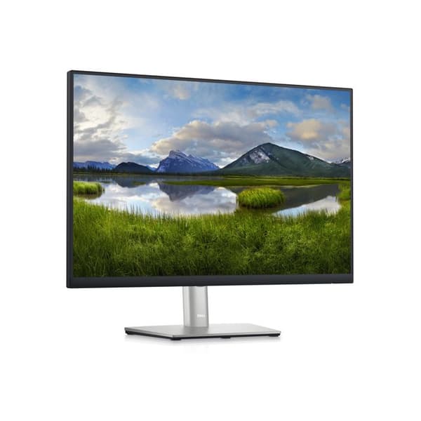 Dell P2423 DELL-P2423