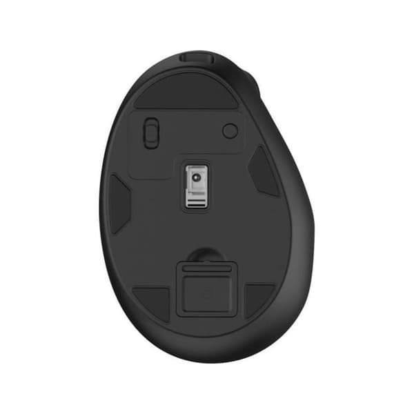 Ewent EW3208 ergonomisk trådlös/Bluetooth optisk mus svart