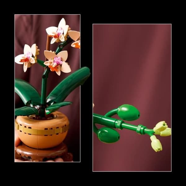 LEGO Botanicals 10343 Miniorkidé - Konstgjorda blommor - Presentidé