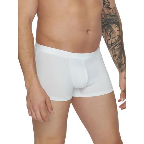 Boxer Lisca Hermes (x2)