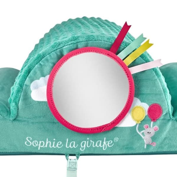 Sophie giraffens motorikmoln