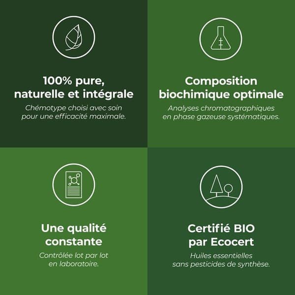 Massageolja - Aromalabs massagekräm - ALHESAPIBAUM10