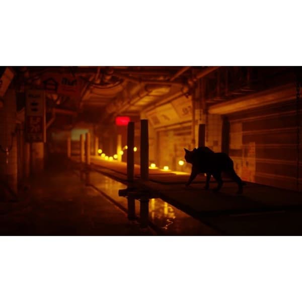 Videospel - Stray - Kattäventyr - Xbox Series X - I låda