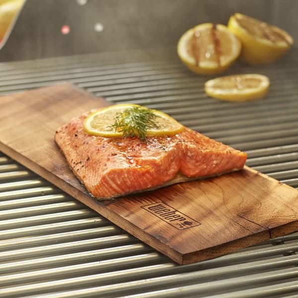 2 CEDRO WEBER RÖKPLATTOR