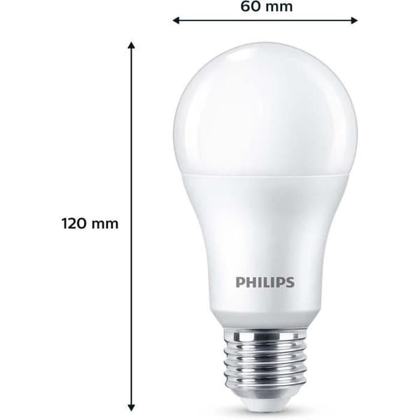 Paket med 6 LED-lampor - PHILIPS - E27 - 100W - Kall vit - Ej dimbar
