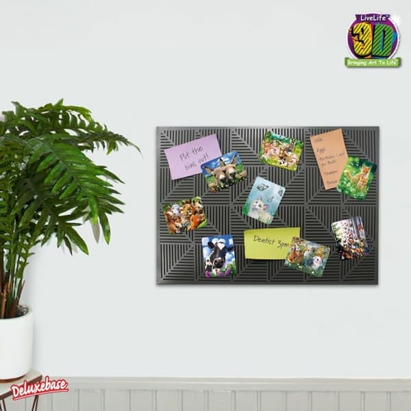 Magneter - magnets 3d livelife - 30236