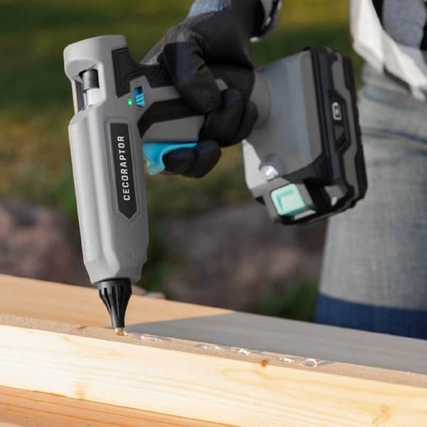 Cecotec Limmpistol CecoRaptor Perfect Fix 2020 Advance