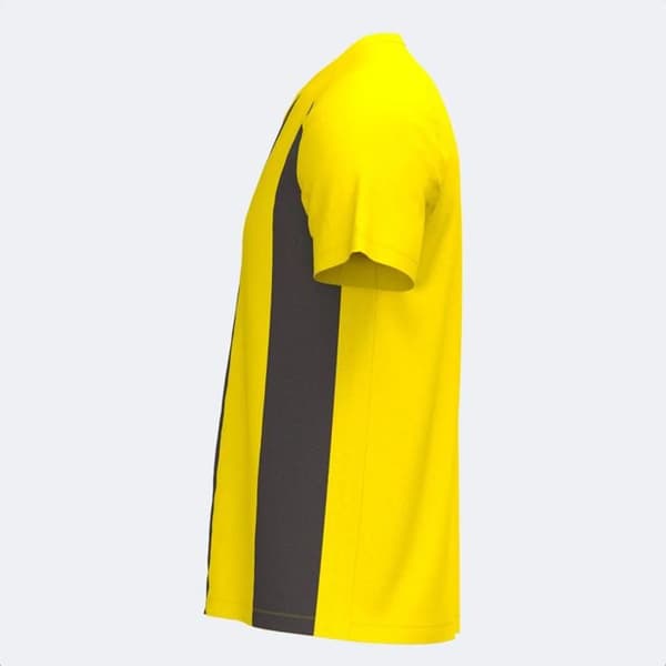 V-ringad tröja Joma Inter IV - gul/svart