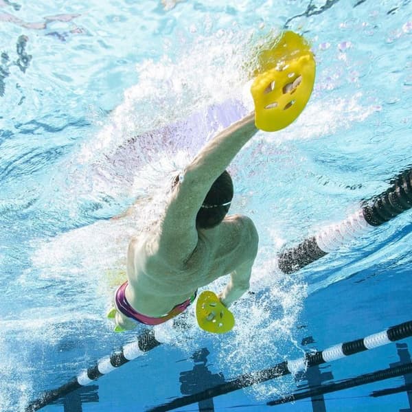 Finis Manta Simplattor Gula