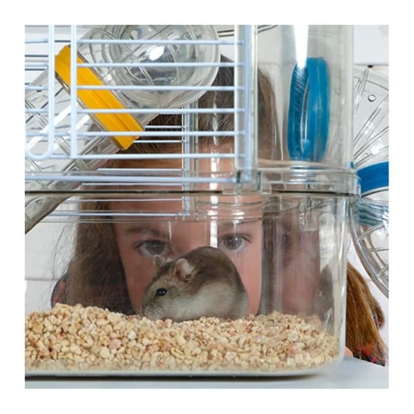 Bur Rody 3 Mini Grenadine för Röd Hamster