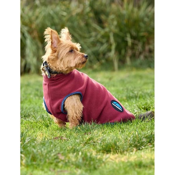 Weatherbeeta Comfitec zip-up hundfleece - Röd - 35 cm