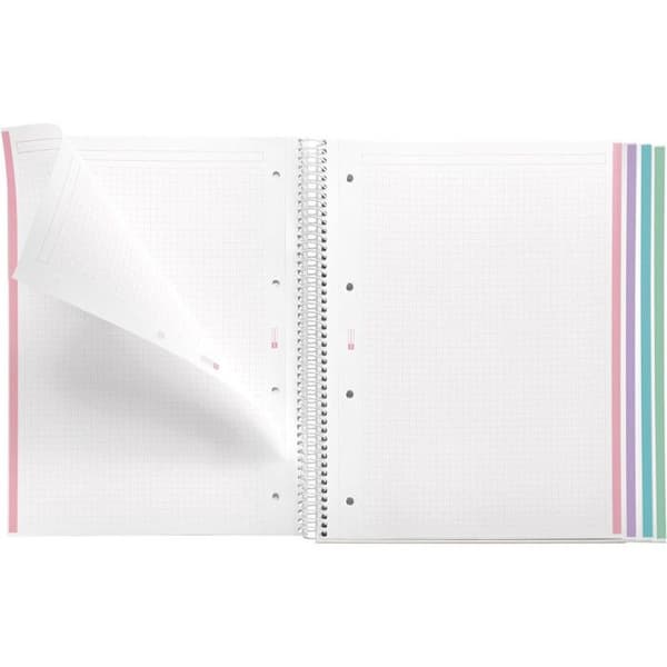 Notebook - A4 - Spiraler - Små rutor - Polypro - 120 perforerade sidor - Regnbåge