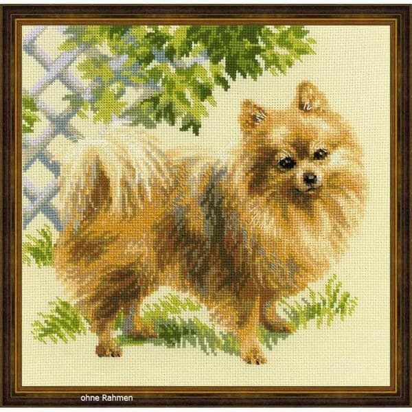 Riolis Canvas Målning Set med "Pomeranian" kors