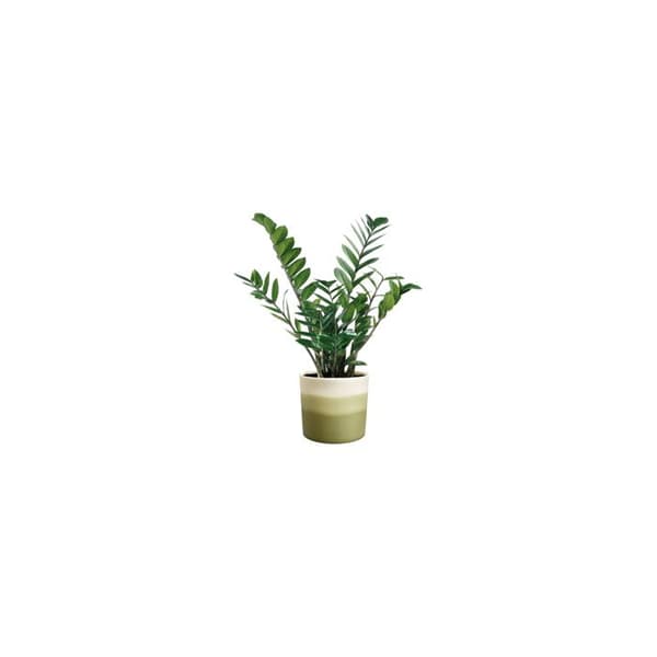 Kruka Färggradient Rund D.14 Cm Grön Bambu - Elho Bv