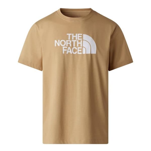 The North Face T-shirt Evolution Half Dome Beige - NF0A8B6JLK5