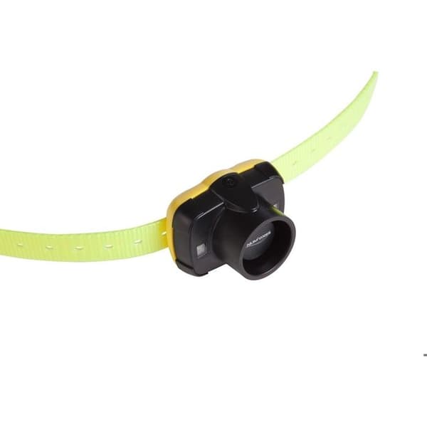 Collier de repérage beeper Canibeep 5