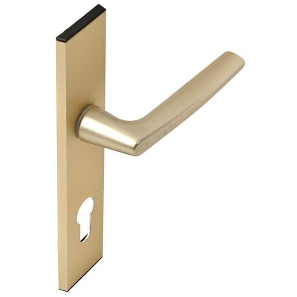 Ensemble Riv-Junior typ nyckel I finish champagne - VACHETTE - 014406