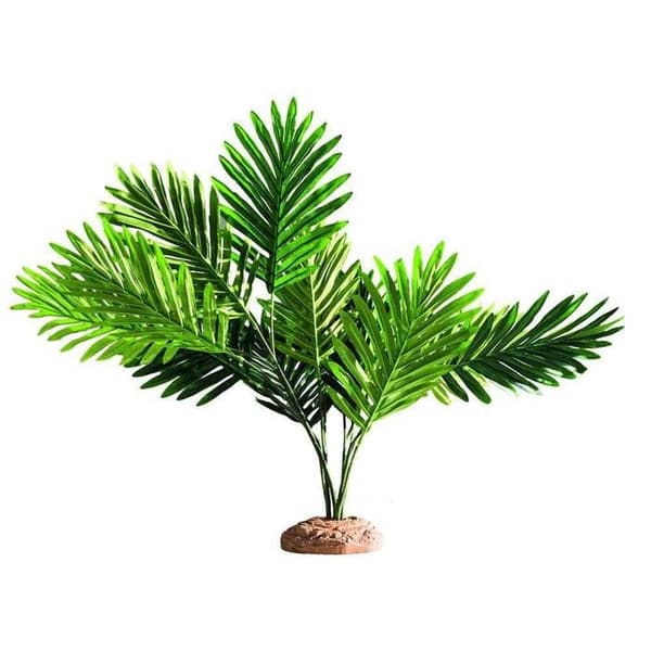 Terrariumdekoration palm/palmträd Hobby Bark