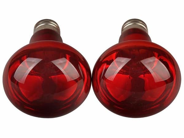 Infraröda värmelampor - LUCKY HERP - E27 - 50W - 2-pack - Förbättrad nattsyn