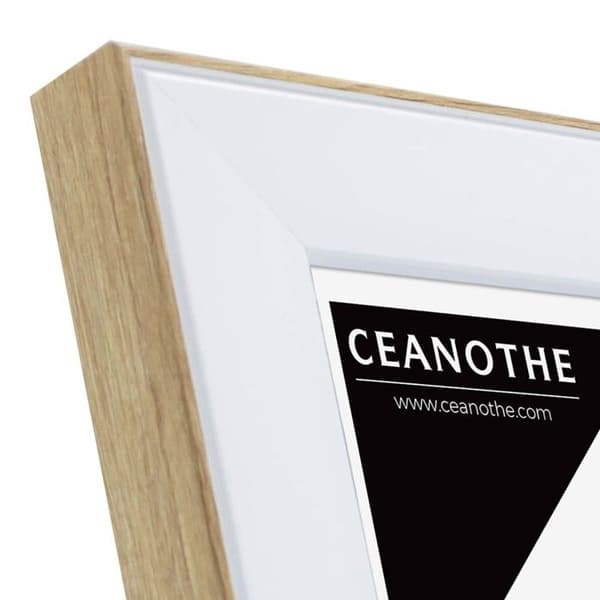 Ramar - NEWTON - 10 x 15 cm - Trä och vit - Rektangulär