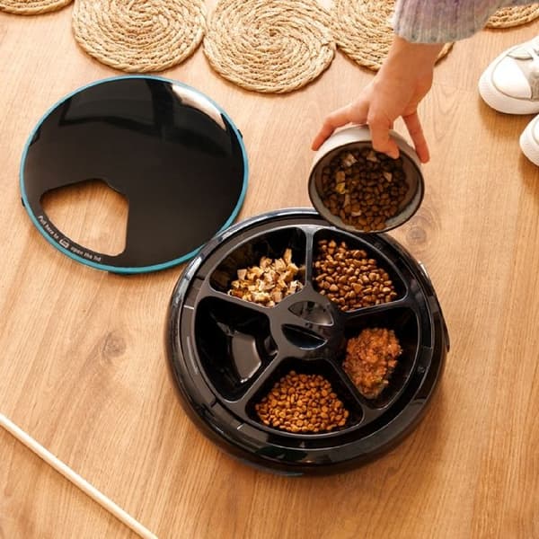 Cecotec Automatisk foderleverans Pumba 1600 Purrfect Meal