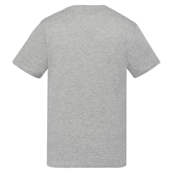 Grå T-shirt Herr Schott TSUSTOUR