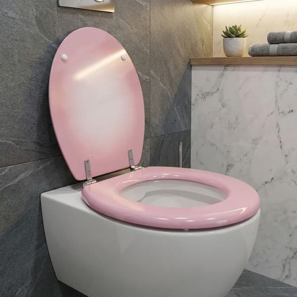 Toalettlock Rose MDF - Inox gångjärn MSV