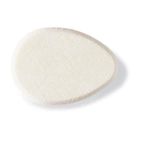 Oval Yukilon svamp
