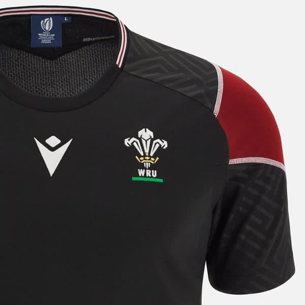 Träningströja Wales 2023