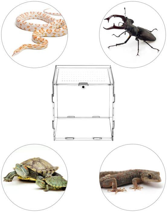 Vivarium - Qwork terrarium - WD9650