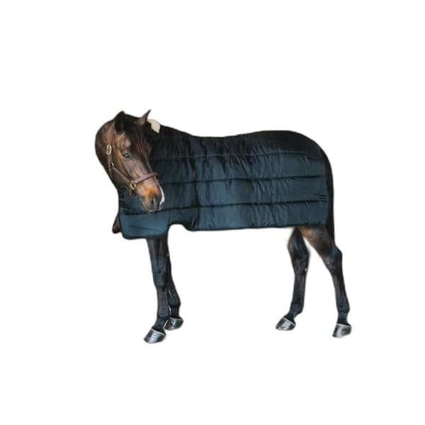 Utomhustäcke för häst Kentucky Pro 300g - 145 cm
