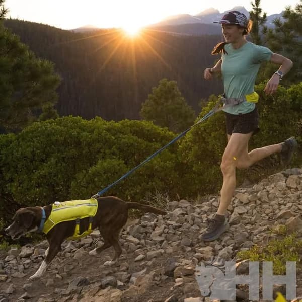 Säkerhetsbelysning för hund Ruffwear Beacon