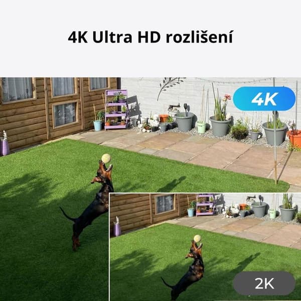 Reolink P330P