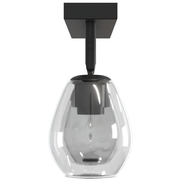 Taklampa - Justerbar glaskupa - Svart - Metall - E27