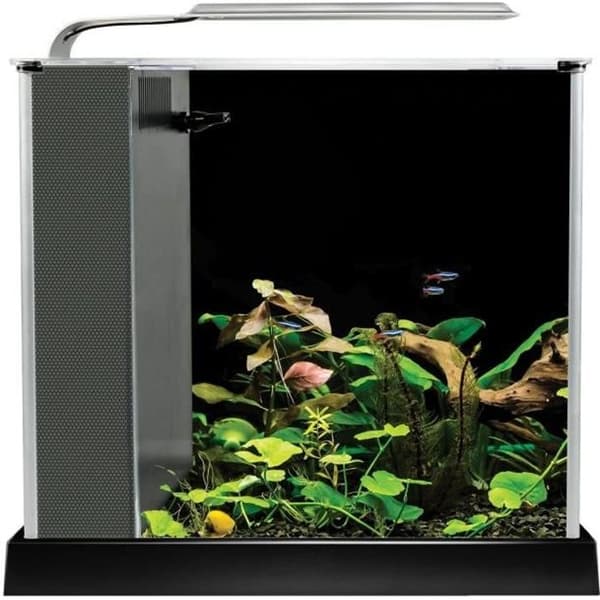 FLUVAL Akvarium utrustad Spec III - 10 L - Svart